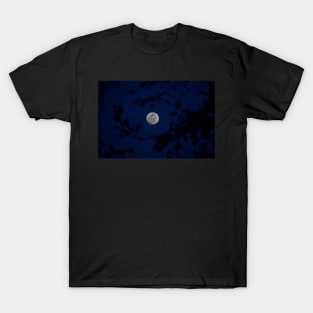 Framed Full Moon T-Shirt